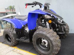 2025 Yamaha YFZ50 BLUE