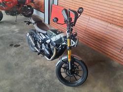 2025 Triumph Scrambler 400 X Scrambler White