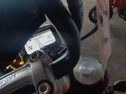 2025 Triumph Scrambler 400 X Scrambler White