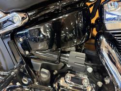 2021 Harley-davidson FLFBS FAT BOY (114) Kinetic Green