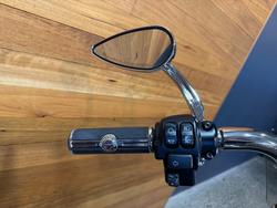 2021 Harley-davidson FLFBS FAT BOY (114) Kinetic Green