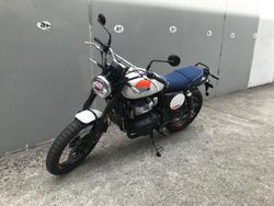 2025 Royal Enfield
Bear 650