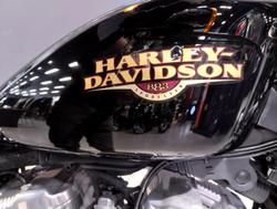 2008 Harley-Davidson Sportster 883 Low (XL883L) Sportster Black