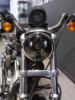 2008 Harley-Davidson Sportster 883 Low (XL883L) Sportster Black