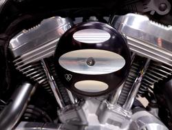 2008 Harley-Davidson Sportster 883 Low (XL883L) Sportster Black