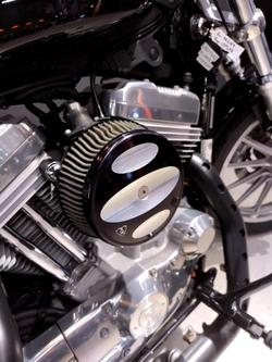 2008 Harley-Davidson Sportster 883 Low (XL883L) Sportster Black