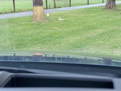 2022 Mazda CX-5 Maxx Sport KF Series Deep Crystal Blue