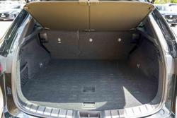 2023 Lexus NX 350h F Sport