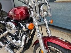 2015 HARLEY-DAVIDSON XL1200C 1200 CUSTOM Red