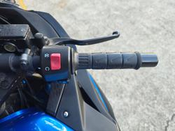 2015 Kawasaki NINJA 300 SE ABS BLUE