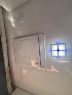 2025 Royal Flair Raptor