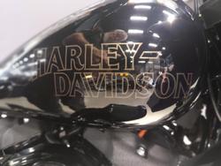 2022 Harley-Davidson Low Rider ST 117 (FXLRST) Softail Black