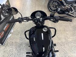2019 Harley-Davidson Street 500 (XG500) Street Black