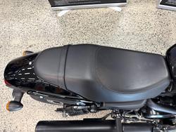 2019 Harley-Davidson Street 500 (XG500) Street Black