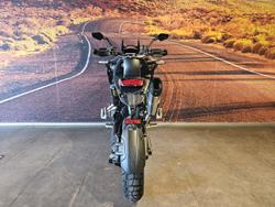 2025 Triumph Tiger 1200 Desert Edition Tiger