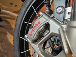 2025 Triumph Tiger 1200 Desert Edition Tiger