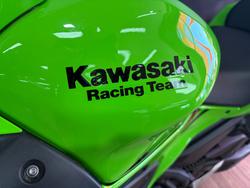 2024 Kawasaki NINJA 650L GREEN