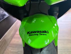 2024 Kawasaki NINJA 650L GREEN