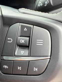 2025 Ford Everest Platinum