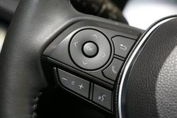 2024 Toyota RAV4 Cruiser