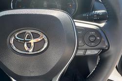 2020 Toyota RAV4 Cruiser