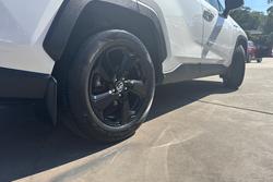 2020 Toyota RAV4 Cruiser