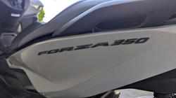 2025 Honda FORZA 350 (NSS350A) Grey