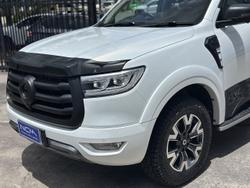 2022 GWM Ute Cannon-X