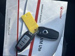 2021 GWM Ute Cannon-X