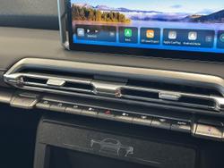 2025 LDV Terron 9 Origin