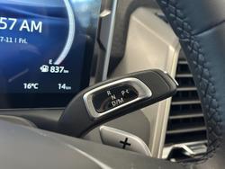 2025 LDV Terron 9 Origin