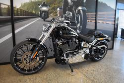 2025 Harley-davidson FXBR BREAKOUT (117) VIVID BLACK