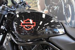 2024 Harley-davidson HD500-10A H-DX X500 WHITE PEARL