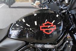 2024 Harley-davidson HD500-10A H-DX X500 WHITE PEARL