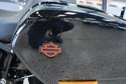 2025 Harley-davidson FXLRST LOW RIDER ST (117) VIVID BLACK