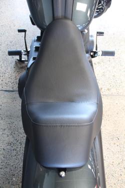 2025 Harley-davidson FXLRS LOW RIDER S (117)