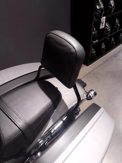 2023 Harley-Davidson Sport Glide 107 (FLSB) Softail