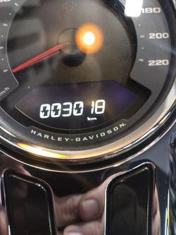 2023 Harley-Davidson Sport Glide 107 (FLSB) Softail