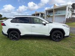 2019 Toyota RAV4 Cruiser