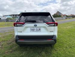 2019 Toyota RAV4 Cruiser