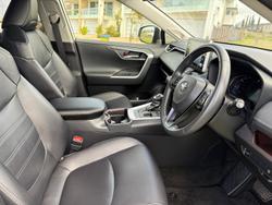 2019 Toyota RAV4 Cruiser