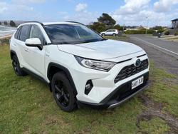2019 Toyota RAV4 Cruiser