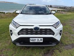 2019 Toyota RAV4 Cruiser