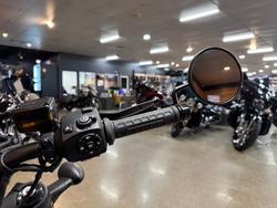 2025 Harley-davidson RH1250S SPORTSTER S MYSTIC SHI