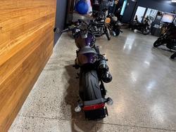 2025 Harley-davidson RH1250S SPORTSTER S MYSTIC SHI