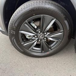 2025 Lexus UX 300h Luxury