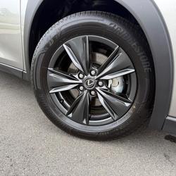 2025 Lexus UX 300h Luxury