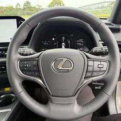 2025 Lexus UX 300h Luxury