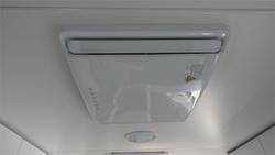 2025 Viscount Wild Shark