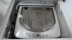 2025 Viscount Wild Shark